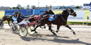 Outsider ‘Poppy’ steals the show at Swan Hill