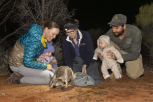 Wallabies get hopping at Scotia