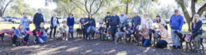 Dogs’ day out for greyhound group