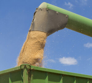 Farming: Short pay terms urged for grain