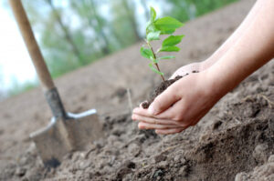 Help care for environment