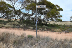 Police investigate body find