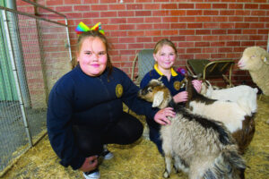 The show’s back in town