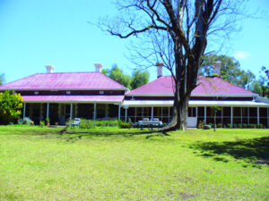 Avoca owners face wrath of the law