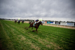 Monday meet on the hoof to Horsham