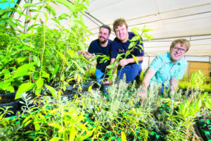 Growing abilities and qualifications