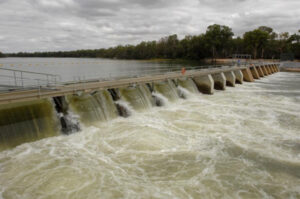 Murray-Darling Basin environmental water at risk of fraud