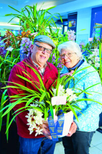 New hobby blooms for Fenech