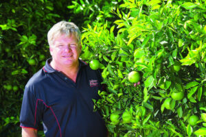 Land prices fruitful