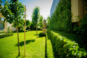 Josie loves her dream garden