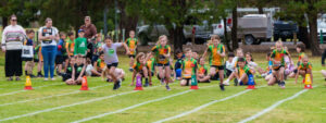Mildura little athletics results