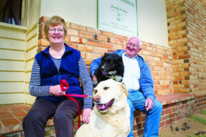 Man’s best friends