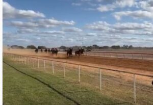 Pooncarie Cup winner