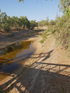 Council group demands fairer Murray-Darling Basin Plan