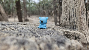 Tiny creatures camp out at Kings Billabong