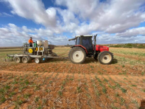 Legume agronomy trial targets Millewa output