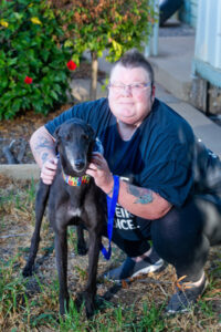 No grey area for Mildura’s dog rescuer, when saving greyhounds