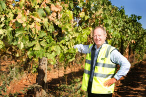 Season of promise for dried fruit