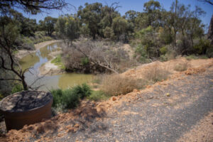 Floods bring lake back to life