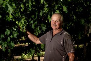 Grape effort nets title, again