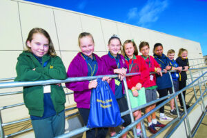 Each to their own pathway in life