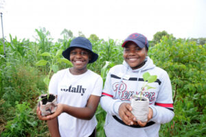 Young sprouts growing farm knowledge