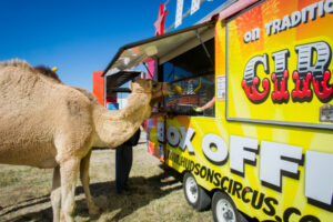 Circus comes to town