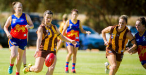 Hawks stun Lions