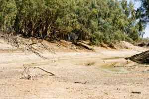 Queensland rain lifts hopes for lower Darling River flows