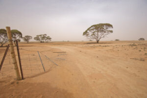 Rate relief on way for Millewa farmers