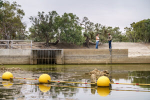 Pooncarie Weir extension stops fish breeding, says activist
