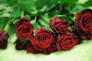 Sending roses a breach of court order