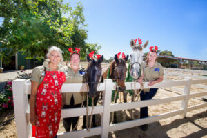 Magic time at the vet