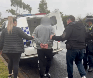 Police arrest four over family violence