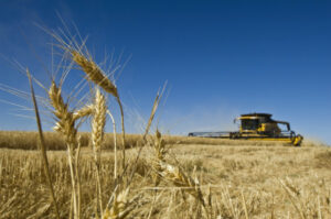 Agricultural production forecast to rise