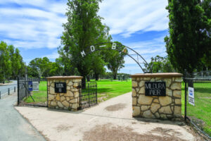 Lawns closed for Lights Trail works