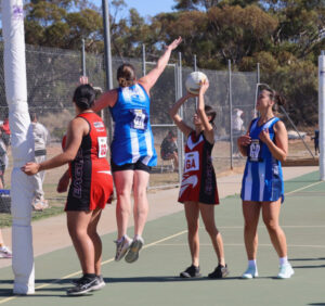 Kangas hop away