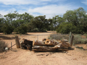 It’s a log out in Lake Cullulleraine ‘interim’ solution