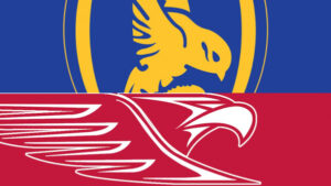 Irymple book their spot in the SFNL grand final