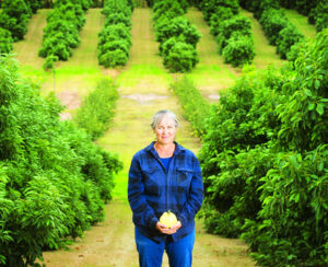 Organics keep growing