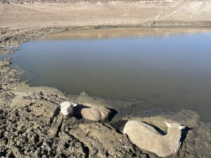 Drought conditions felt across the region