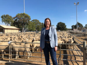 Outstanding Sheep and Wool Show