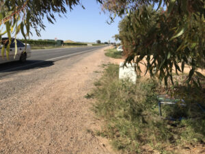Female council candidates hope vandalism not sign of times