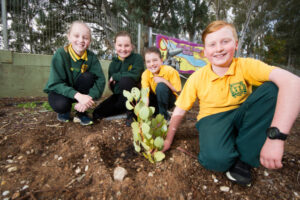 Wentworth Public School takes a leaf from nature’s book