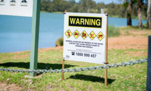 Blue-green algae red alert warning extended to Red Cliffs
