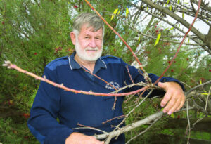 Orchards a hive of activity