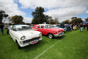 Sunassist Motor show gearing up