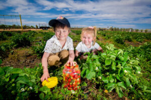 What’s on in Sunraysia