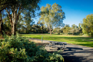 Revamp for Rio Vista Park