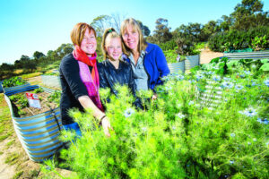 Eco friends big day out